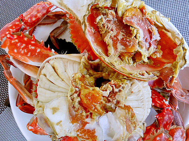 这两种海蟹是最常吃的，哪种是你的爱？
