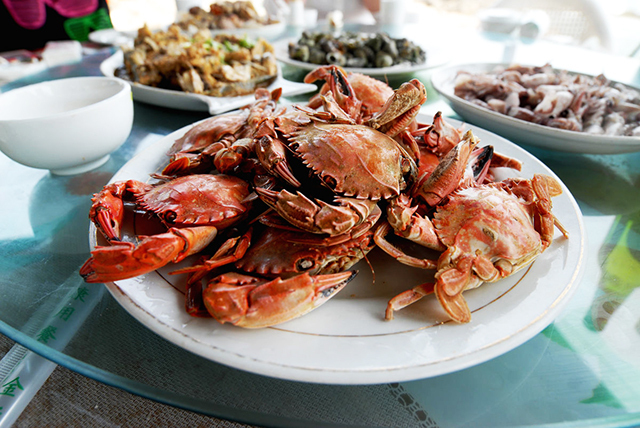 这两种海蟹是最常吃的，哪种是你的爱？