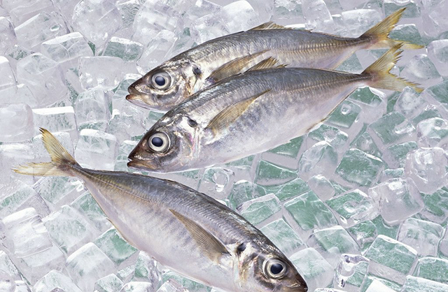 超市里的“冰鲜鱼”“冰冻鱼”没看出有区别，其实大不同