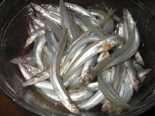 处理成段的鱼类中秋礼盒，是冰冻还是冰鲜？能放多久？