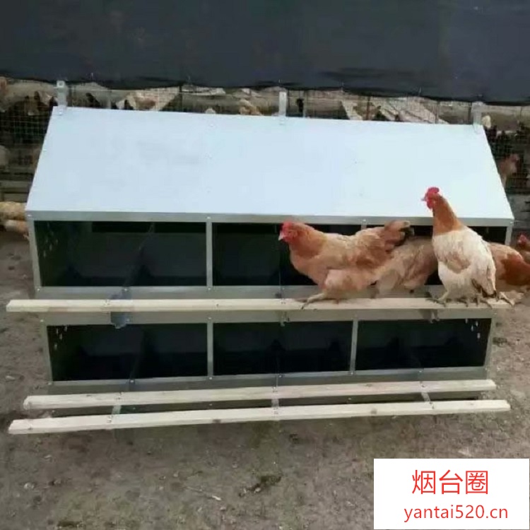 山东烟台防生锈24穴产蛋箱散养鸡产蛋窝种鸡鸡产蛋箱 
