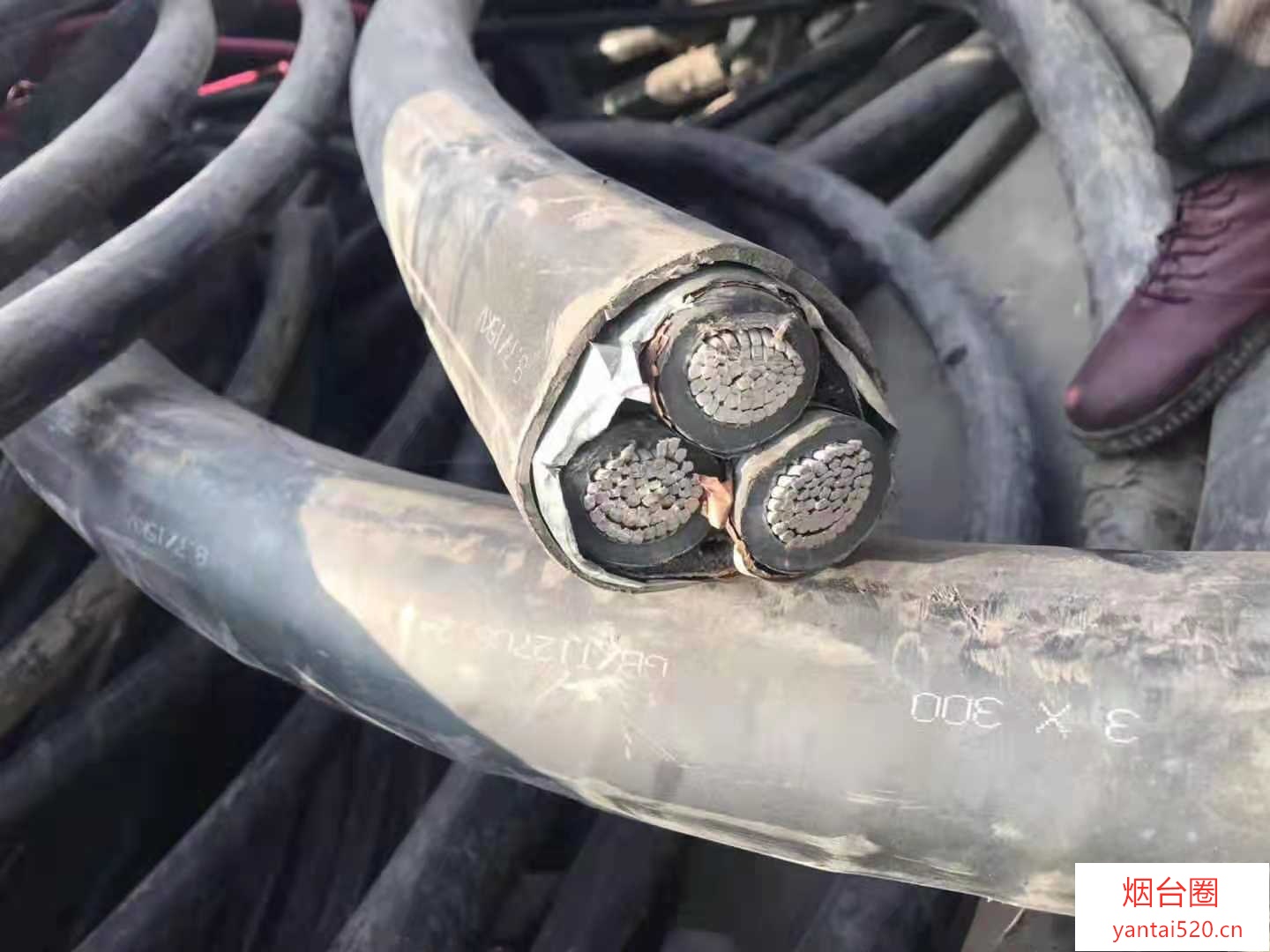 回收低压电缆烟台回收低压电缆方法